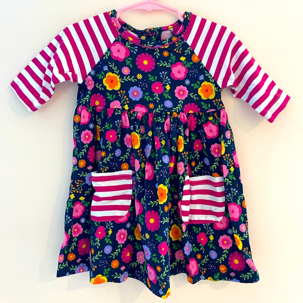 Good Lad Pink and Blue Floral Striped Dress